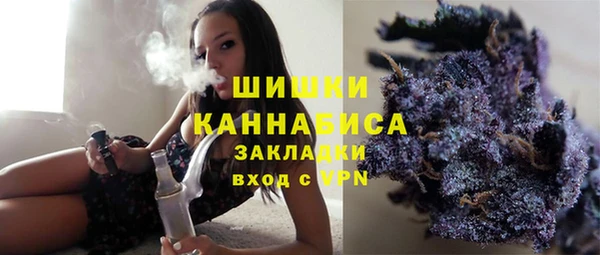 ECSTASY Богородицк
