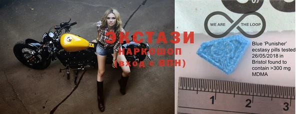 ECSTASY Богородицк