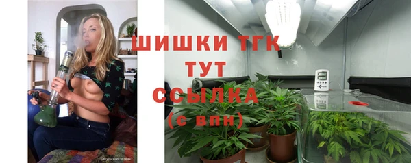 крисы Богданович