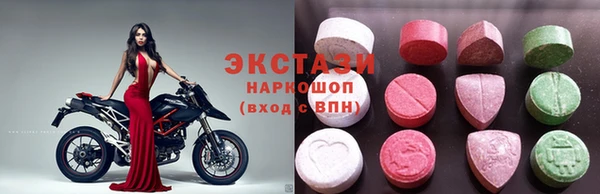 ECSTASY Богородицк