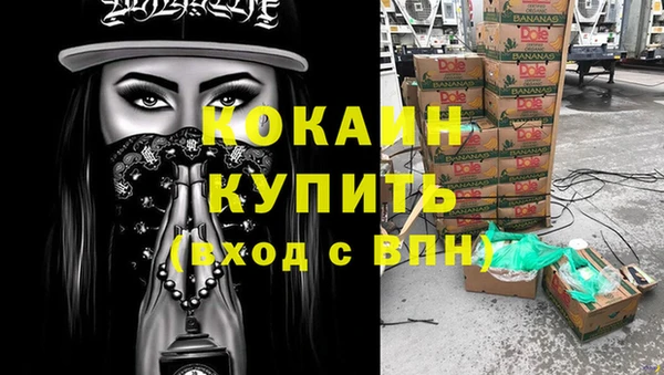 ECSTASY Богородицк