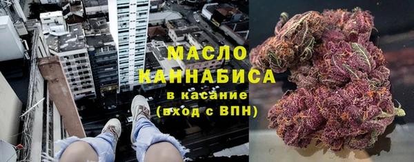 ECSTASY Богородицк