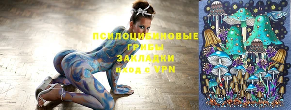 ECSTASY Богородицк